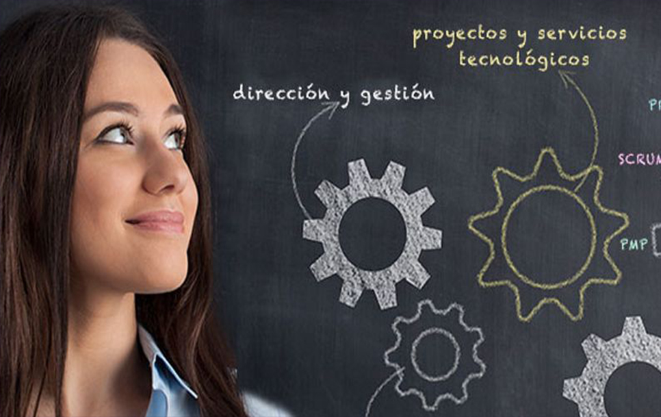Consultoría / Gestión De Proyecto